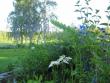 tn_gallery_10247_1026_134477.jpg