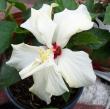 tn_gallery_3723_1021_3276.jpg