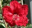 tn_gallery_3723_1021_5662.jpg