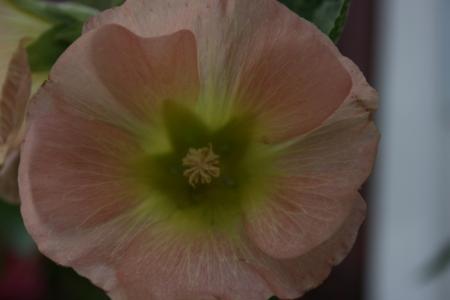 gallery_5169_1018_119466.jpg