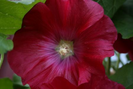 gallery_5169_1018_54548.jpg