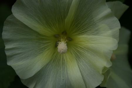 gallery_5169_1018_70526.jpg