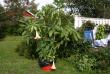 tn_gallery_5169_1018_98473.jpg