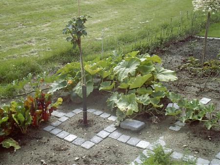 gallery_2753_1035_16287.jpg