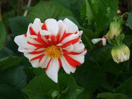 gallery_5307_1007_18165.jpg