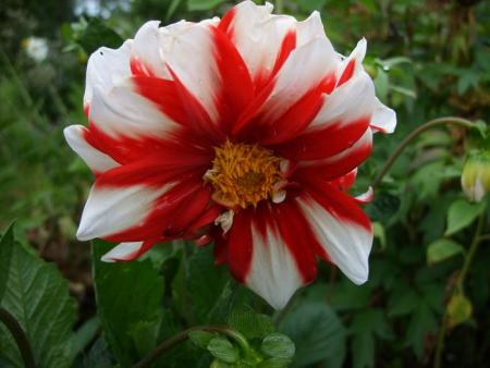 gallery_5307_1007_48294.jpg