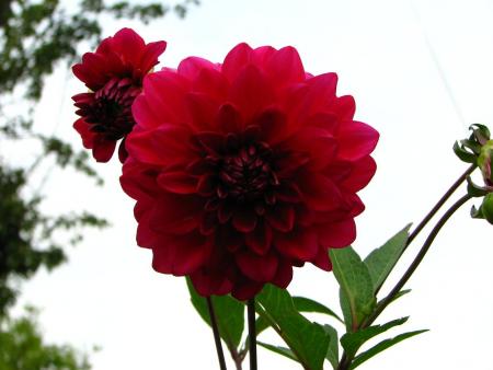 gallery_11610_890_54565.jpg