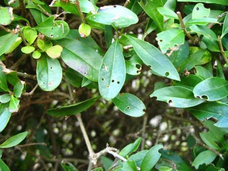 gallery_12200_1037_20336.jpg