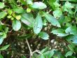 tn_gallery_12200_1037_20336.jpg