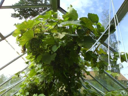gallery_10225_1049_272274.jpg
