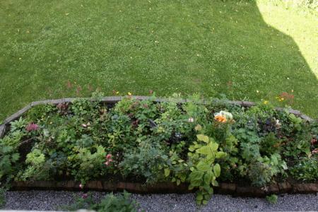 gallery_5169_1051_356917.jpg