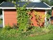 tn_gallery_3388_372_143339.jpg