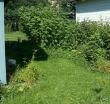 tn_gallery_3388_372_31799.jpg