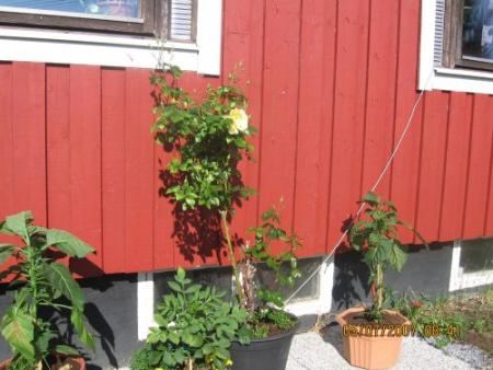 gallery_12251_1054_22911.jpg