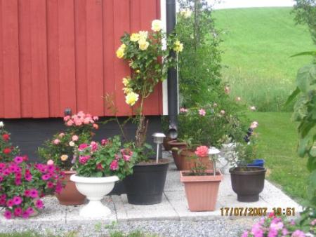 gallery_12251_1054_35893.jpg