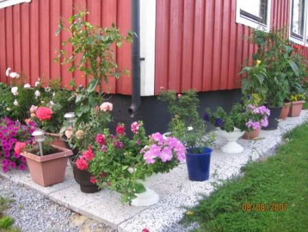 gallery_12251_1054_46714.jpg