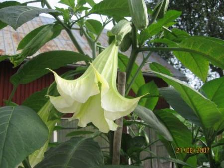 gallery_12251_1055_769.jpg