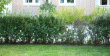 tn_gallery_12269_1069_98284.gif