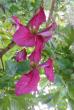 tn_gallery_14_200_134482.jpg