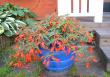 tn_gallery_14_226_189868.jpg