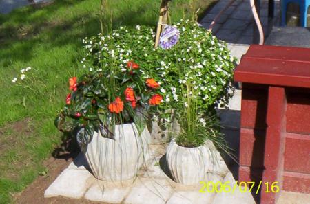 gallery_12285_1075_125778.jpg