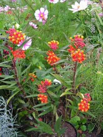 gallery_1786_950_124795.jpg