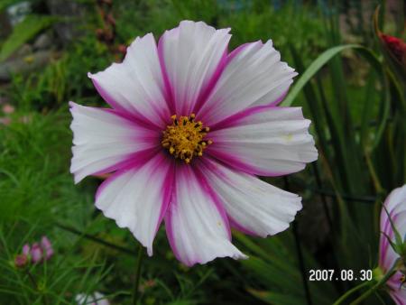 gallery_1786_950_54375.jpg