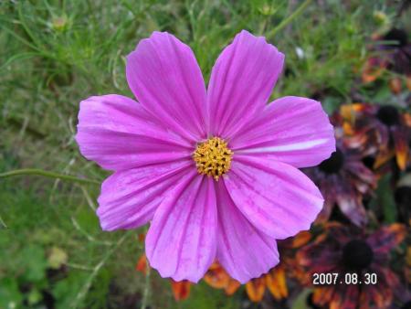 gallery_1786_950_71048.jpg