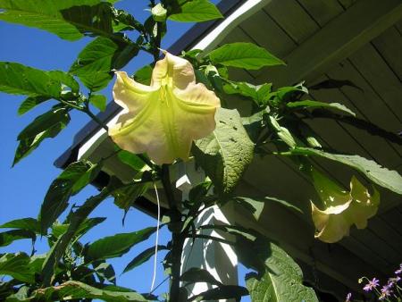 gallery_5006_958_67499.jpg