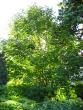 tn_gallery_4113_49_83147.jpg