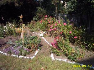 gallery_4113_1078_9891.jpg