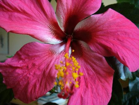gallery_10231_831_86845.jpg