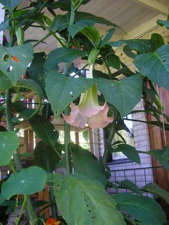 gallery_5006_958_61574.jpg