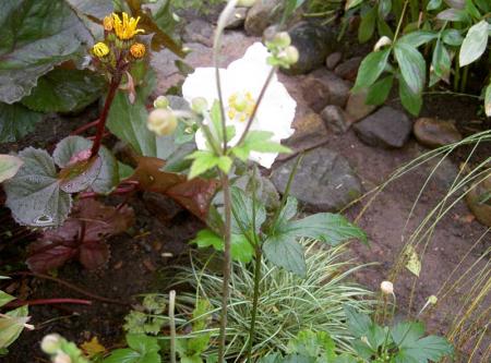 gallery_834_1080_23804.jpg