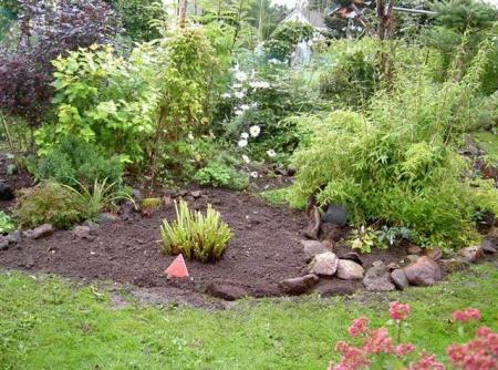 gallery_834_1080_65286.jpg