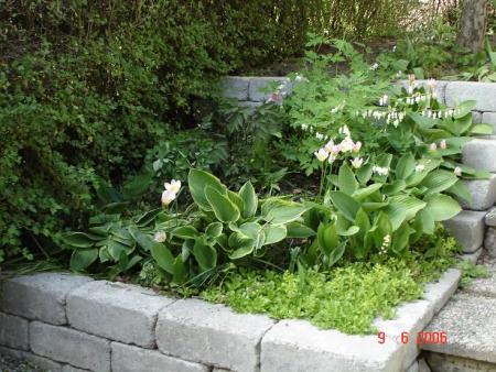 gallery_8989_490_57076.jpg