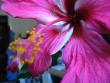 tn_gallery_10231_831_46827.jpg