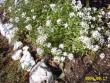 tn_gallery_4113_1078_17379.jpg