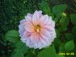 tn_gallery_4113_1078_3832.jpg