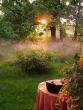 tn_gallery_365_1083_98329.jpg