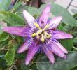 tn_gallery_3723_1021_18849.jpg