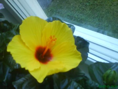 gallery_10973_646_18958.jpg