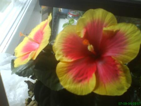 gallery_10973_646_27560.jpg