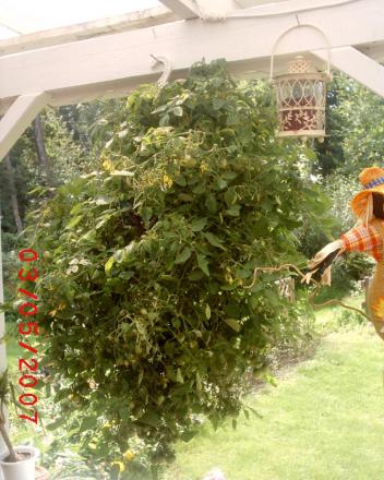gallery_12349_1090_133901.jpg