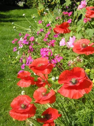 gallery_5006_958_38966.jpg