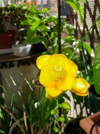 gallery_6830_1095_5967.jpg