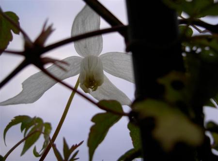 gallery_834_1080_20708.jpg