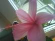 tn_gallery_10973_646_1993.jpg