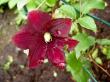tn_gallery_834_1080_21939.jpg