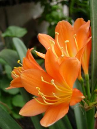 gallery_6830_1095_13767.jpg